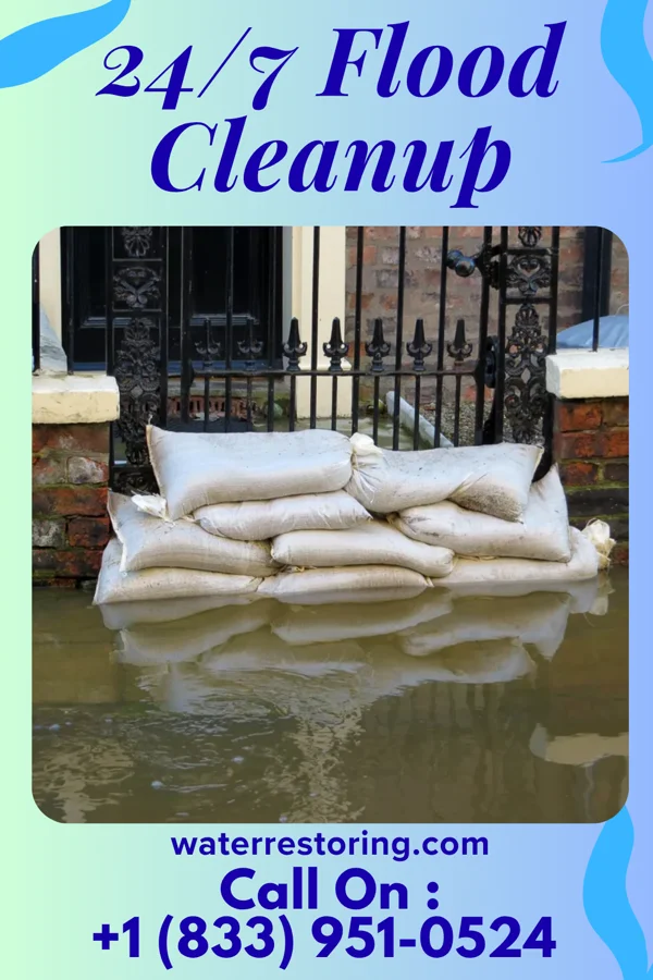 24/7 Flood Cleanup in Duck Hill, MS