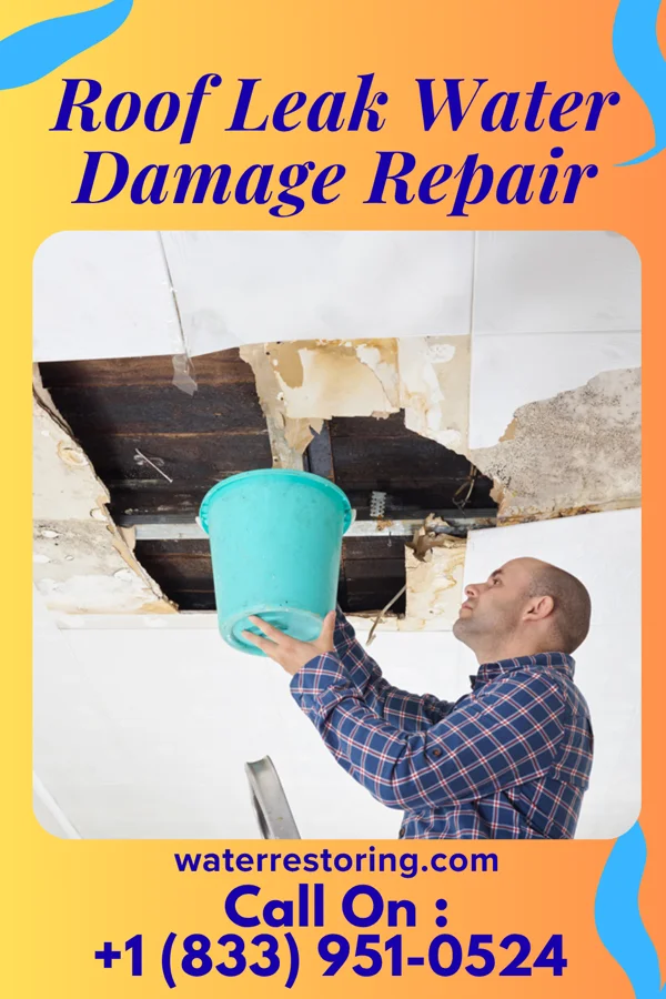 Roof Leak Water Damage Repair in Duck Hill, MS