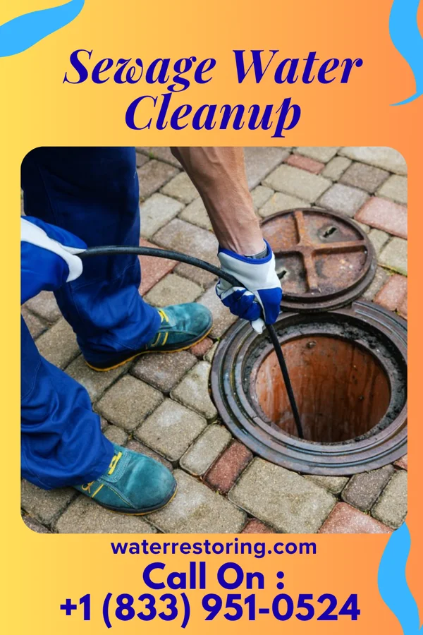 Sewage Water Cleanup in Duck Hill, MS